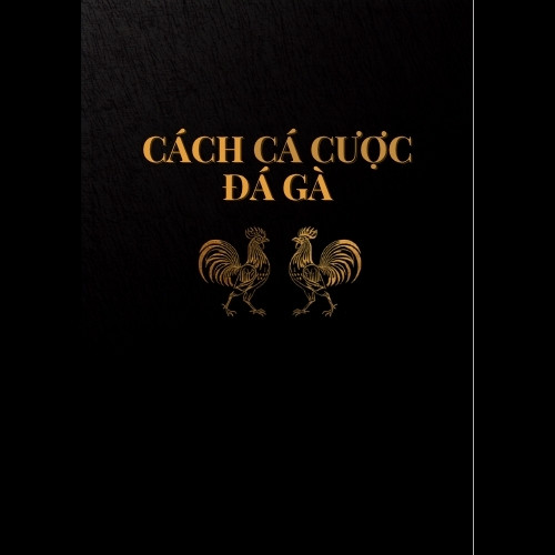 Cách cá cược Đá Gà Online cho người mới tại AO88